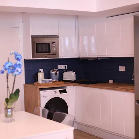 Maestro Damian, Moderna Vivienda Turistica A Estrenar En Бильбао