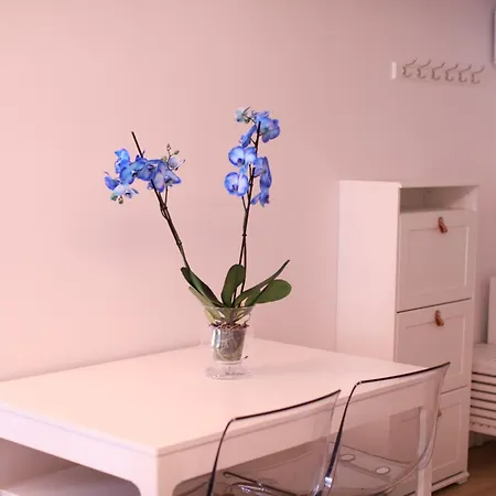 Maestro Damian, Moderna Vivienda Turistica A Estrenar En *