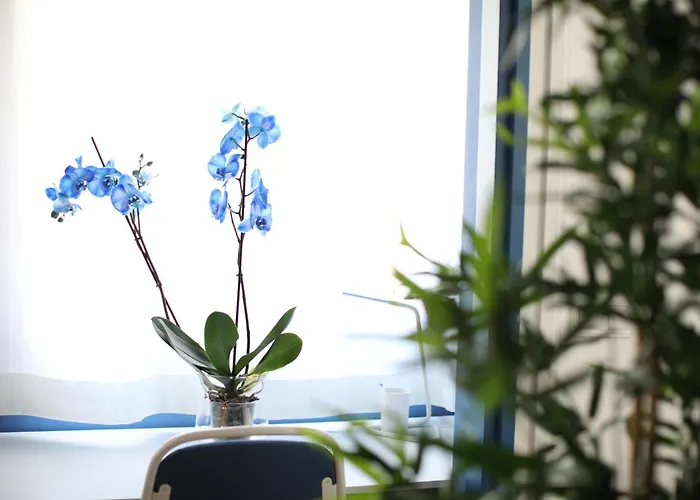 Maestro Damian, Moderna Vivienda Turistica A Estrenar En