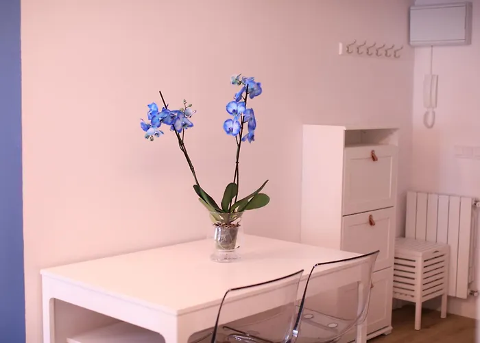 Maestro Damián, Moderna Vivienda Turística A Estrenar En *