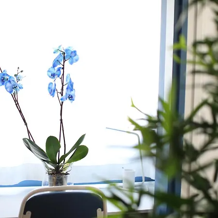 Maestro Damian, Moderna Vivienda Turistica A Estrenar En